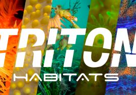 TRITON Habitats