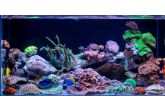 Signature Aquarium Set 900 x 450 x 450mm (inc drilled tank, cabinet, sump, fittings kit