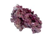 Real Reef Rock Medium 25 kg Box 31x63x37 cm