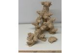 Reef-Ceramic Complete Set of L`aquarium 250
