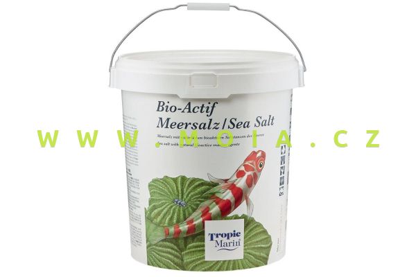 TM BIO-ACTIF Sea Salt 25kg Eimer