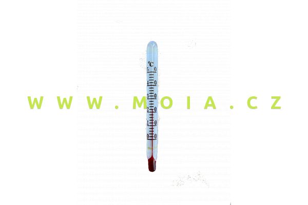 AquaHabitats Micro Thermometer